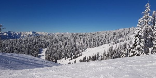 SKI AREA VERENA 2000 - Roana (VI)